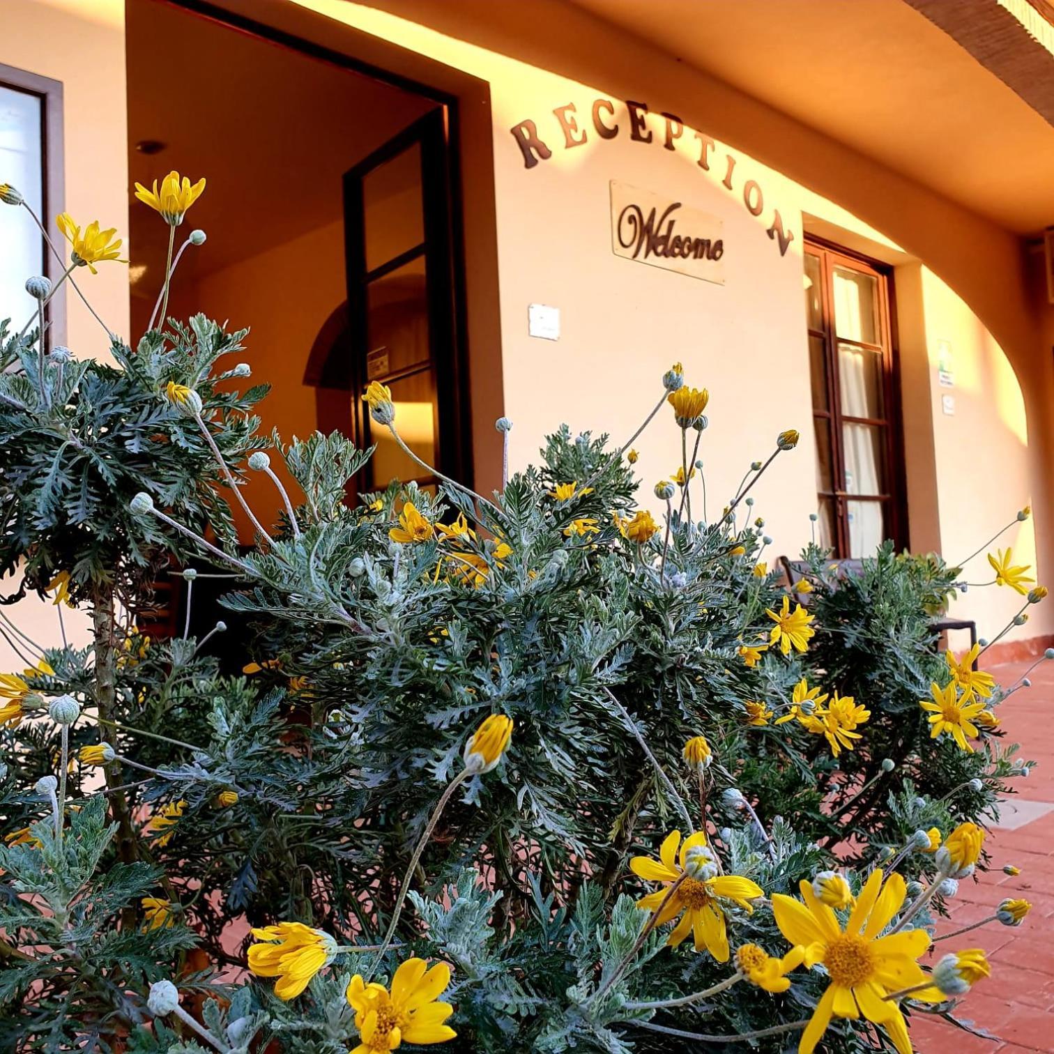 Apartamento Borgo Di Pomaia Exterior foto